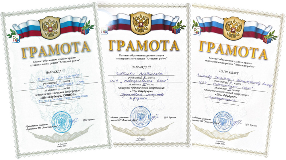 муниципальный этап НПК.