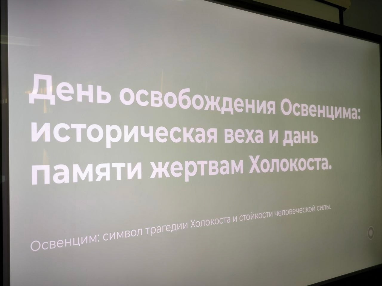 холокост.